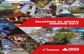 RELATÓRIO DE GESTÃO CODEMIG 2017codemig.com.br/wp-content/uploads/2018/03/... · sas em terras raras e projetos como o P7 Criativo, criação de polo de empreendedorismo e economia