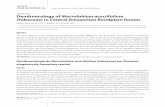ORIGINAL ARTICLE Dendroecology of Macrolobium acaciifolium ... · BATISTA SCNGART . Dendroecology of Macrolobim acaciifolim 312 VOL. 48(4) 2018: 311 - 320 ACTA AMAZONICA INTRODUCTION