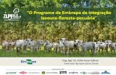 O Programa da Embrapa de integração lavoura-floresta-pecuária · Otimização e intensificação da ciclagem de nutrientes no solo Manutenção da biodiversidade e sustentabilidade
