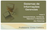 Sistemas de Informações Gerenciaisccaetano/aulas/SIG-Aula2.pdfSistemas de Informações Gerenciais Aula 2 Características, Ambiente, Natureza e Hierarquia dos Sistemas ... –Para