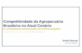 Competitividade da Agropecuária Brasileira no Atual Cenárioanda.org.br/wp-content/uploads/2018/10/Competitividade... · 2018. 11. 5. · Fonte: STN; CEPEA; IBGE. Elaboração: Andre