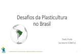 Desafios da Plasticultura no Brasilcobapla.com.br/wp-content/uploads/2019/07/COBAPLA... · Desafios da Plasticultura no Brasil Paolo Prada Secretario COBAPLA ... • Empresa Brasileira