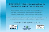 DTCOURO - Detecção Automática de Defeitos em Peles e Couros … · 2008. 11. 21. · 29/07/05 1 DTCOURO - Detecção Automática de Defeitos em Peles e Couros Bovinos Hemerson