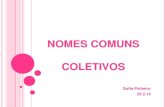 NOMES COMUNS COLETIVOS - Cantinho-da-turma...NOMES COMUNS COLETIVOS Sofia Pinheiro 25.2.14