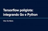 Tensorﬂow poliglota: integrando Go e Python · inferência em Python, utilizada na API em Go 34. Níveis de criticidade 35. Onde chegamos - No começo: modelos simples, processamento