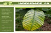 XVIII Ano ADDUBARE30 - RR Agroflorestal · XVIII Janeiro a Junho - 2016 ADDUBARE30 Nesta Edição Demanda nutricional de clones de eucalipto na região Sul do Brasil pag 3 Resposta