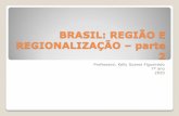 BRASIL: REGIÃO E REGIONALIZAÇÃOsites.educacional.com.br/userData/Construtor/10675/... · Critérios: características naturais e semelhanças no desenvolvimento socioeconômico.