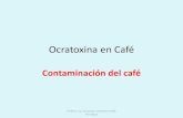 Ocratoxina en Café · 2009. 6. 22. · Comercio propone niveles máximos para la OTA en el café tostado y molido de 5 µg/kg, y en el café soluble de 10 µg/kg. •El café de