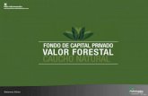 Álbum FOTOGRÁFICO Primer semestre · Álbum FOTOGRÁFICO Fondo de Capital Privado “Valor Forestal” Primer semestre 2013