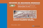 MINISTÉRIO DE MINAS E ENERGIArigeo.cprm.gov.br/bitstream/doc/1749/1/IRM_Pimenta_Bueno.pdf · 2020. 1. 15. · civil, em especial às argilas para emprego na indústria de cerâmica