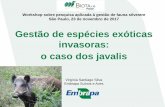 Gestão de espécies exóticas invasoras: o caso dos javalis · Saúde Única Os riscos sanitários decorrentes da expansão dos javalis em vida livre no Brasil são desconhecidos.