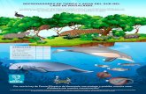 Yurasi infografia Depredadores€¦ · Por eso la Ley de Fauna Silvestre de Venezuela nos protege y prohíbe nuestra caza. iColabora con nuestra conservación! 1 = Tonina (Sotalia