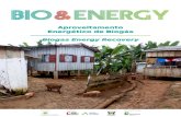 Aproveitamento Energético de Biogás€¦ · • Cerca de 3 biliões de pessoas - quase 40% da população mundial – cozinha com recurso a biomassa (madeira, dejetos animais e