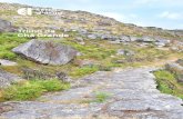Trilho da Chã Grande - Serra d'Arga · 2019. 4. 12. · Na zona de transição de litologia xistosa para granito, onde o trilho se inicia, dominam os matos de tojo--arnal (Ulex europaeus)
