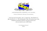 Caracterização de Ligante Asfáltico Brasileiro e Avaliação ... · hidrocarbonetos policíclicos aromáticos (HPA’s)[manuscrito] / Paulo Roberto Nunes Fernandes 86 f. color.,