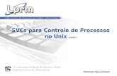 SVCs para Controle de Processos no Unixinf.ufes.br/~rgomes/so_fichiers/aula6c.pdf · comando ls -l. LPRM/DI/UFES 14 Sistemas Operacionais Programa que cria um processo filho para