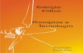 ENERGIA EÓLICA PRINCÍPIOS E TECNOLOGIAS · Energia Eólica Princípios e Tecnologias 1 História da Energia Eólica e suas utilizações Com o avanço da agricultura, o homem necessitava