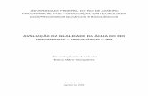 AVALIAÇÃO DA QUALIDADE DA ÁGUA DO RIO UBERABINHA ...tpqb.eq.ufrj.br/download/qualidade-da-agua-do-rio-uberabinha.pdf · (IGAM). The Tukey’s test, through the SISVAR software,