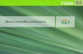 Núcleo de Assuntos Estratégicos da Presidência da ...€¦ · Seção 1 - Avaliação do biodiesel no Brasil 9 Resumo executivo 11 Introdução 17 Programas de biodiesel no mundo