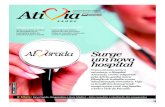 Surge um novo hospital - Ativia · 2014. 10. 4. · Informativo Bimestral • Edição 76 Novembro e Dezembro de 2011 • Ano IX Com o mesmo nome e estrutura, ... precisa na lista