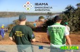 As atribuições do IBAMA estabelecidas por...Bacia de Camamu/Almada. A Petrobras teve que esperar de março a julho/2010 para obter uma licença importante – LO para produção