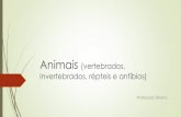 Animais (vertebrados,invertebrados, répteis e anfíbios) · Os répteis são animais vertebrados que possuem o corpo coberto de escamas ou carapaças. Eles se locomovem nadando,