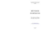 leonardo/ci202/metodos2.pdf · ii SUMÁRIO 1 INTRODUÇÃO ...