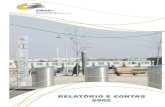 RELATÓRIO E CONTAS 2002 - Empresa Municipal de Águas e ...€¦ · grandes intervenções em redes de abastecimento de água, ou capacidade de armazenagem, pelo que o investimento