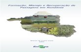 Formação, Manejo e Recuperação de Pastagens em Rondônia · 2017. 8. 16. · d) equilíbrio da composição botânica da pastagem; e, e) correção e fertilização do solo na