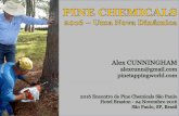 2016 ENCONTRO DE PINE CHEMICALS SÃO PAULO · 2016 encontro de pine chemicals sÃo paulo –6° edição –24 novembro 2016 china resineiro na provÍncia de yunnan 1 resineiro –1.500