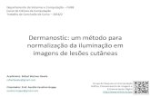 Dermanostic: um método para normalização da iluminação emdsc.inf.furb.br/arquivos/tccs/apresentacoes/2016_2...Grupo de Pesquisa em Computação Gráfica, Processamento de Imagens