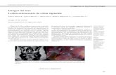 Imagen del mes Lesión estenosante de colon sigmoidegastrolat.org/DOI/PDF/10.0716/gastrolat2016n100007.pdf · imagen como pueden ser la colonoscopia, ecografía, resonancia magnética