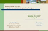Impacto e consequências na Agricultura Portuguesa · LT RO EE LV 0 50 100 150 200 250 300 350 400 450 500 550 600 ¼ /ha Nível Ajudas Directas EM / ha SAU Limites 2013 depois modulação