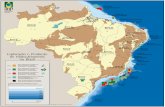 Bacia do Pará-Maranhão Bacia de Barreirinhasbrazilrounds.anp.gov.br/arquivos/Round3/R3_Mapa.pdf · (art.33 of the Petroleum Law) Blocos de Desenvolvimento ou Produção Blocks under