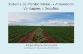 Sistema de Plantio Meiosi x Amendoim Vantagens e Desafiosinfoamendoim.com.br/site/wp-content/uploads/2018/... · Vantagens e Desafios Klinger Brentini Branquinho Gerente Agrícola