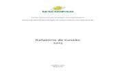 ...Serviço Nacional de Aprendizagem do Cooperativismo Serviço Nacional de Aprendizagem do Cooperativismo no Estado de Goiás RELATÓRIO DE GESTÃO – Exercício 2015 Relatório