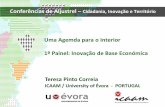 Uma Agemda para o Interior 1º Painel: Inovação de Base ... · Uma Agemda para o Interior 1º Painel: Inovação de Base Económica Teresa Pinto Correia ICAAM / University of Évora