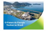 O Futuro da Energia Nuclear no Brasil - LAS-ANS · A Energia Nuclear no Mundo e no Brasil Produção Mundial de Energia Elétrica 10 Maiores Geradores Mundiais Brasil: 9º Posição