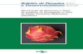 Germinação de Sementes e Tipos de Explante na Propagação ...€¦ · Germinação de Sementes e Tipos de Explante na Propagação in Vitro da Pitaya Vermelha (Hylocereus polyrhizus)