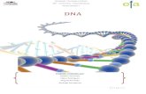 DNA · ADN/DNA, e nós exploramos desde a sua organização, estrutura e todo o seu funcionamento, tentando desde já exaltar toda a sua curiosidade, a descobrir mais sobre o ADN…
