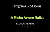 A Minha Árvore Nativaaedpacheco.pt/.../Preview/A_Minha_Arvore_Nativa2.pdf · Álbum de fotografias Author: Margarida Rodrigues Created Date: 7/16/2020 10:23:28 AM ...