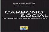 carbono social · 2012. 12. 5. · Carbono social — Agregando valores ao desenvolvimento sustentável A realidade do assentamento União Il No assentamento União Il, foi implantado