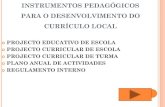 INSTRUMENTOS PEDAGÓGICOS PARA O DESENVOLVIMENTO …€¦ · instrumentos pedagÓgicos para o desenvolvimento do currÍculo local projecto educativo de escola projecto curricular