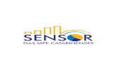 Resumo Executivo - Sebrae Sebrae/Anexos/Sensor01.pdf · Resumo Executivo Este relatório contém os resultados da pesquisa referente à primeira etapa de desenvolvimento do Sensor