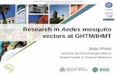 Research in Aedes mosquito vectors at GHTM/IHMT · 2018. 8. 15. · João Pinto Unidade de Parasitologia Médica Global Health & Tropical Medicine Research in Aedes mosquito vectors