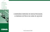 I SEMINÁRIO MINEIRO DE BIOELETRICIDADE: A ENERGIA ELÉTRICA DA CANA DE AÇÚCAR · 2016. 12. 2. · •Consumo de vapor de processo •Substituição de acionamentos mecânicos de