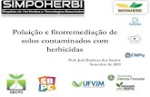 Poluição e fitorremediação de solos contaminados com herbicidas · 2019. 11. 22. · Poluição e fitorremediação de solos contaminados com herbicidas Prof. José Barbosa dos
