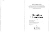 Direitos Humanos - Arnaldo Lemos Filho€¦ · ç, --- 1! I J}" I •,• t ~ • I I j I I SILVIO BELTRAMELLI NETO Doutorem DireitodoTrabalhopela Faculdade deDireitodaUniversidade