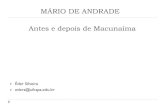 MÁRIO DE ANDRADE Antes e depois de Macunaíma...de uma passagem no pensamento de Mário de Andrade, uma mudança de perspectiva sobre o sentido do fazer artístico. Ele partiu de