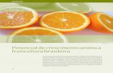 Potencial de crescimento anima a fruticultura brasileira · exportação brasileira de Frutas processadas por país de destino (2006) países valor (us$ Fob) quantidade (kg) Bélgica561.128.598